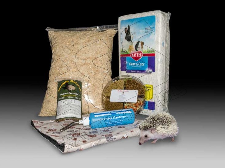 Basic Hedgehog Care Package - Click Image to Close