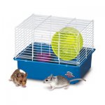 MY FIRST HAMSTER HOME/1 STORY