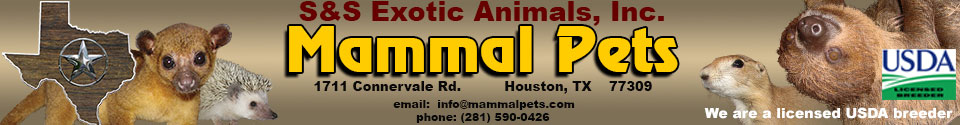 S&S Exotic Animals,inc.