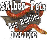 SlitherPets